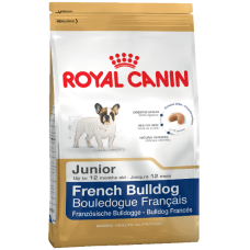 French Bulldog Junior Royal Canin